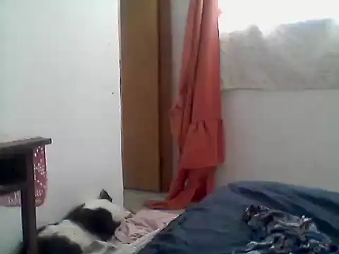 mariy  online show from December 1, 3:50 pm