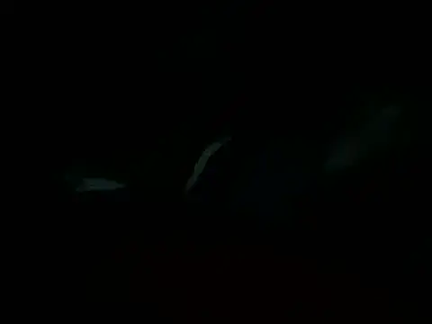 Billythekidd1978 online show from March 22, 5:20 pm