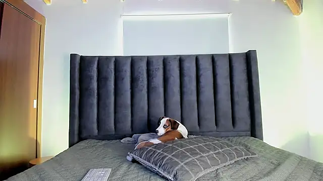 paulina soto online show from November 16, 6:46 pm