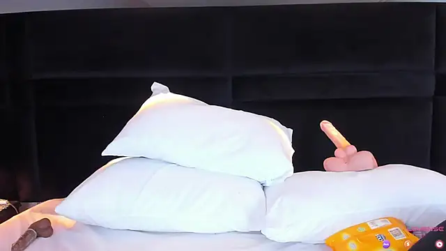 Snapshot of MiaStor chatting on January 29, 8:46 pm MiaStor online show from January 29, 8:46 pm