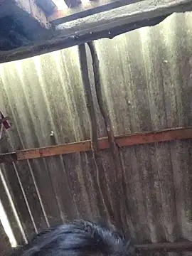 HotSexyBoudi online show from September 9, 9:31 am