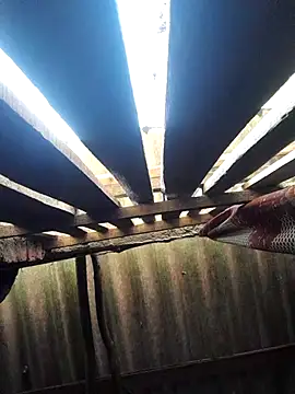 HotSexyBoudi online show from October 16, 8:48 am