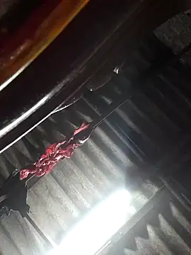 Snapshot of HotSexyBoudi chatting on November 4, 8:46 am HotSexyBoudi online show from November 4, 8:46 am