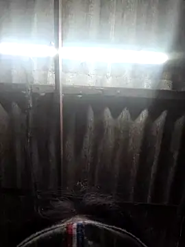 Snapshot of HotSexyBoudi chatting on November 15, 9:06 am HotSexyBoudi online show from November 15, 9:06 am