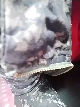 Dangky1 online show from February 3, 4:25 am