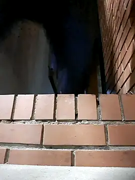 Petrossa online show from November 24, 12:21 am