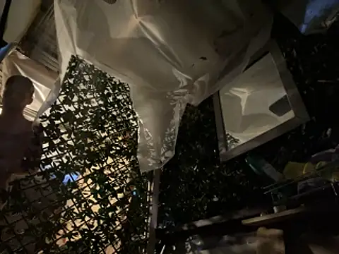 trash4cash online show from March 23, 12:03 am