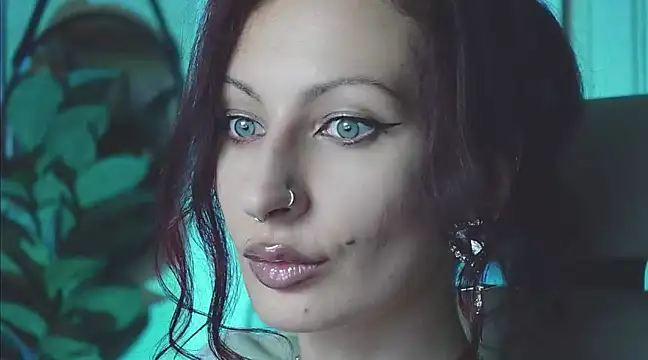  owner online show from January 15, 8:16 pm