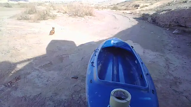 FloppyPickle4u online show from December 20, 10:39 pm