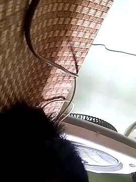 idocudai online show from April 3, 5:27 am