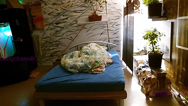 BongChannel online show from January 2, 2:57 pm