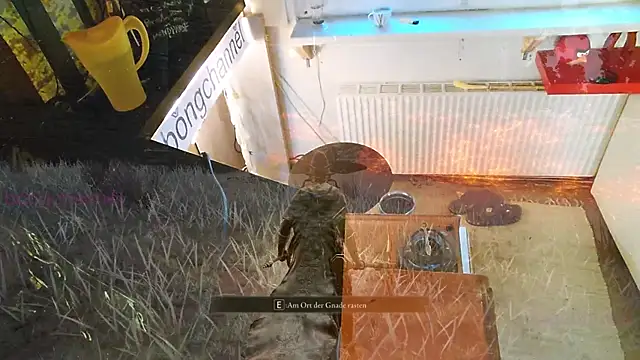 BongChannel online show from February 2, 7:30 am