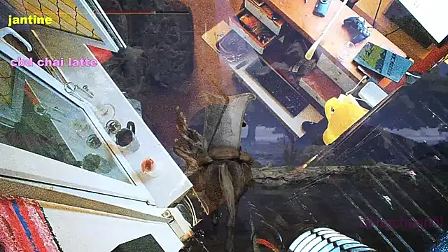 BongChannel online show from March 9, 3:54 am