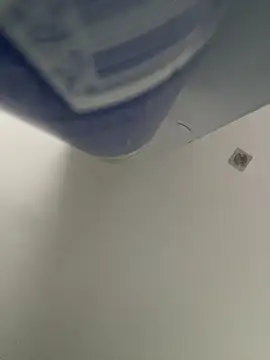 Kym Owens online show from January 24, 10:19 pm