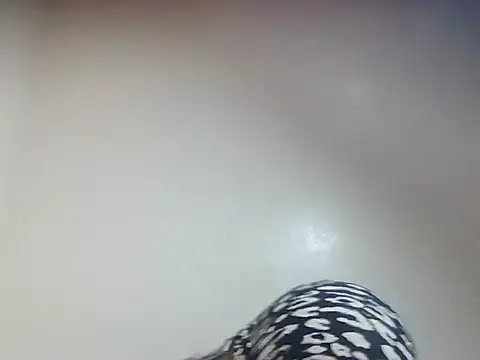 Creamy candy17 online show from October 3, 1:41 pm