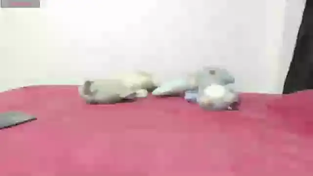 Mayte sexy online show from February 21, 12:16 am