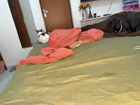 BRUALENC online show from February 24, 9:29 am