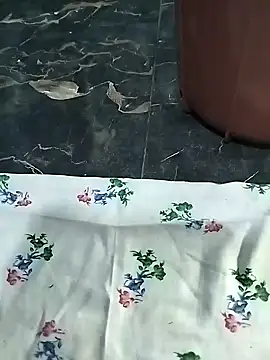 Sexygarl1024 online show from February 6, 8:13 pm