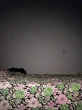 Sexygarl1024 online show from October 8, 9:34 pm