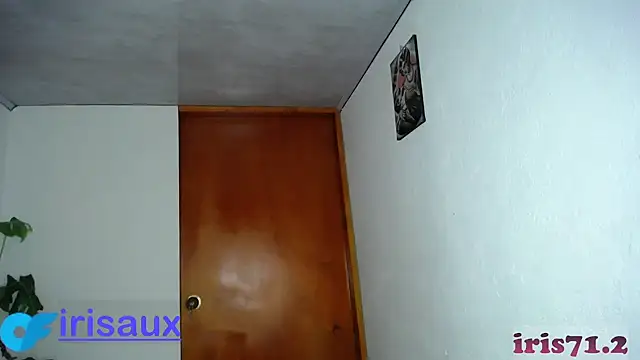 iris 798 online show from January 20, 4:43 am