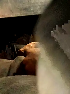 xWhoreAbleX Pika online show from March 6, 12:43 am