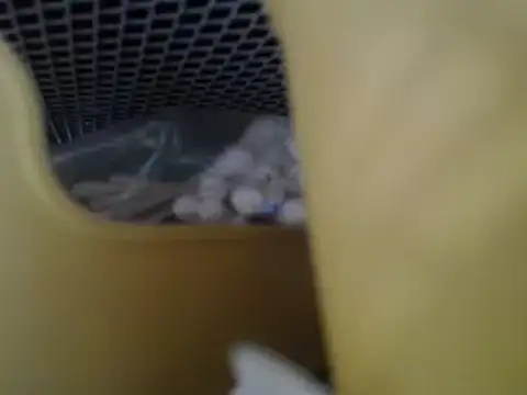 lovense test04 online show from April 27, 6:33 am