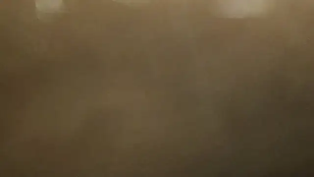 Snapshot of Alphapimmelchen chatting on February 21, 3:54 pm Alphapimmelchen online show from February 21, 3:54 pm