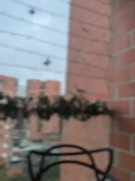 ValerieHilton online show from December 27, 10:59 pm