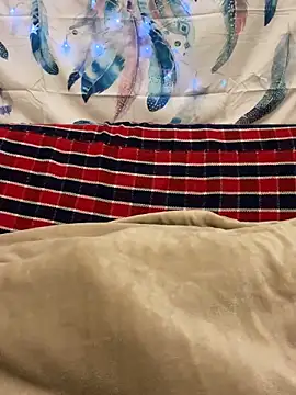 Snapshot of A6229 chatting on January 11, 2:36 pm A6229 online show from January 11, 2:36 pm