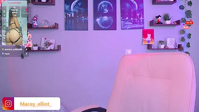 macey elliot  online show from February 6, 3:41 pm