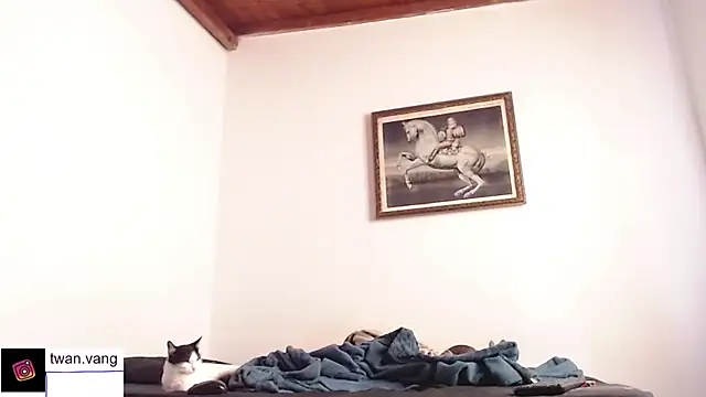 Trix fiore oficial online show from November 14, 3:55 pm