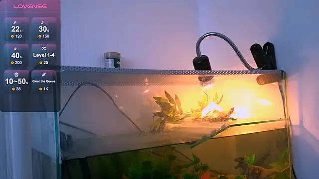 Britney Lynch online show from April 21, 2:51 am