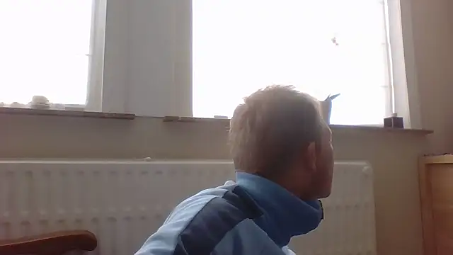 bertolini online show from October 12, 1:32 pm