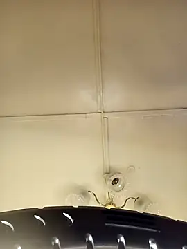 Snapshot of ___Midnight___ chatting on March 15, 2:06 am Midnight online show from March 15, 2:06 am