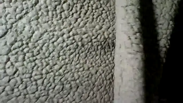 Snapshot of Daszler chatting on December 30, 10:45 pm Daszler online show from December 30, 10:45 pm