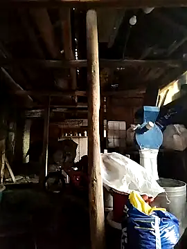 Sarpe84 online show from January 19, 5:48 am