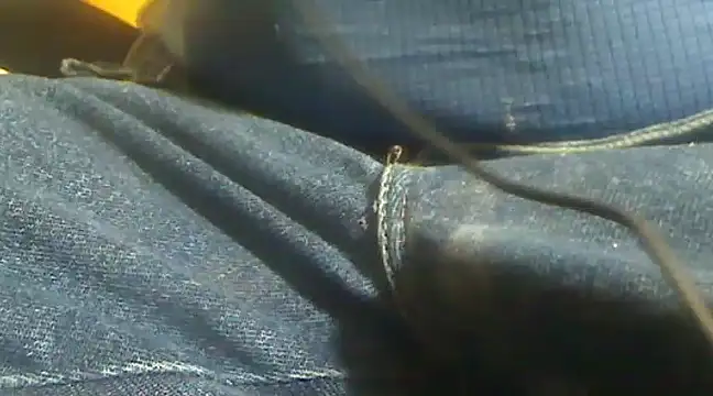 markluvskitty online show from February 10, 4:14 pm