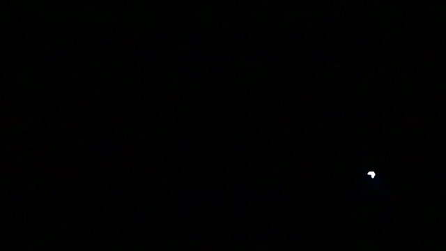 markluvskitty online show from March 13, 2:29 am