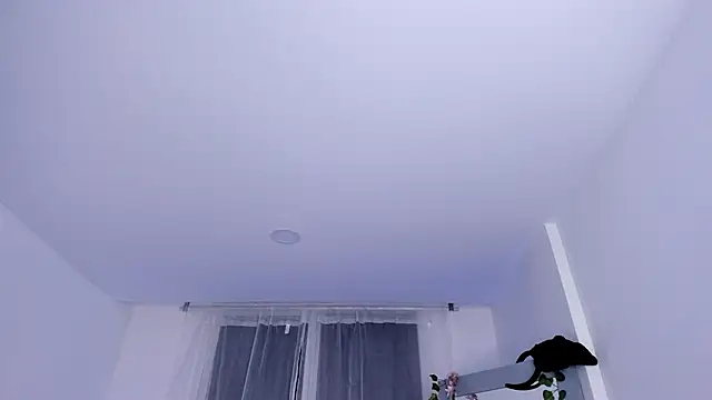  mia collins b  online show from January 29, 1:48 am