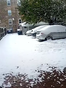 AmazonianMistress online show from November 10, 7:35 pm