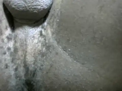 Snapshot of Whitelover chatting on February 24, 12:30 am Whitelover online show from February 24, 12:30 am