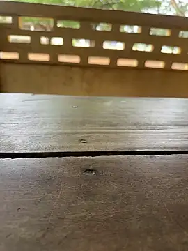 Snapshot of Black-mamba-madingo chatting on September 29, 10:09 am Black-mamba-madingo online show from September 29, 10:09 am