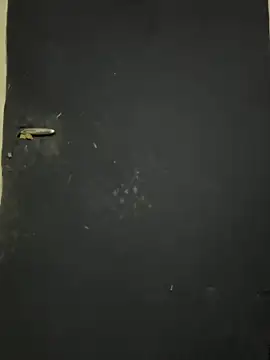 Snapshot of Black-mamba-madingo chatting on October 9, 12:25 pm Black-mamba-madingo online show from October 9, 12:25 pm