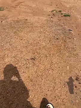 Snapshot of Black-mamba-madingo chatting on March 28, 9:42 am Black-mamba-madingo online show from March 28, 9:42 am