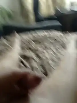 Snapshot of MityaXLoves chatting on March 13, 7:06 pm MityaXLoves online show from March 13, 7:06 pm