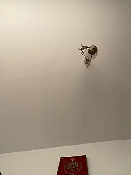 roohblak online show from February 8, 4:43 pm