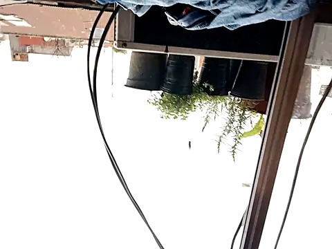 Snapshot of puak6666 chatting on September 29, 8:02 pm puak6666 online show from September 29, 8:02 pm