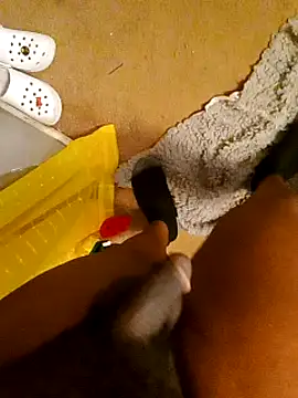 Snapshot of freakniknutty chatting on October 3, 2:36 pm freakniknutty online show from October 3, 2:36 pm