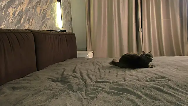 laflamebella online show from September 28, 5:07 pm