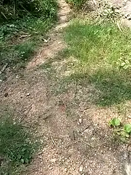 TamizhanKishwin7 online show from November 9, 8:01 am